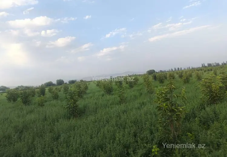 2.6 sot Torpaq Satılır, Ağdaş