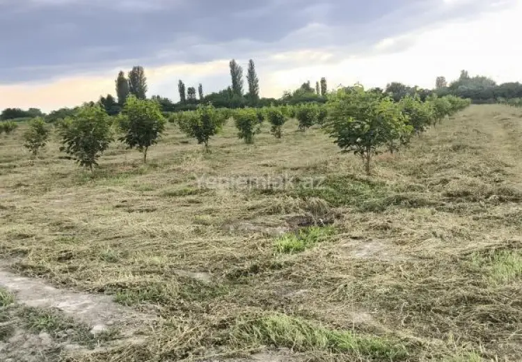 2.6 sot Torpaq Satılır, Ağdaş