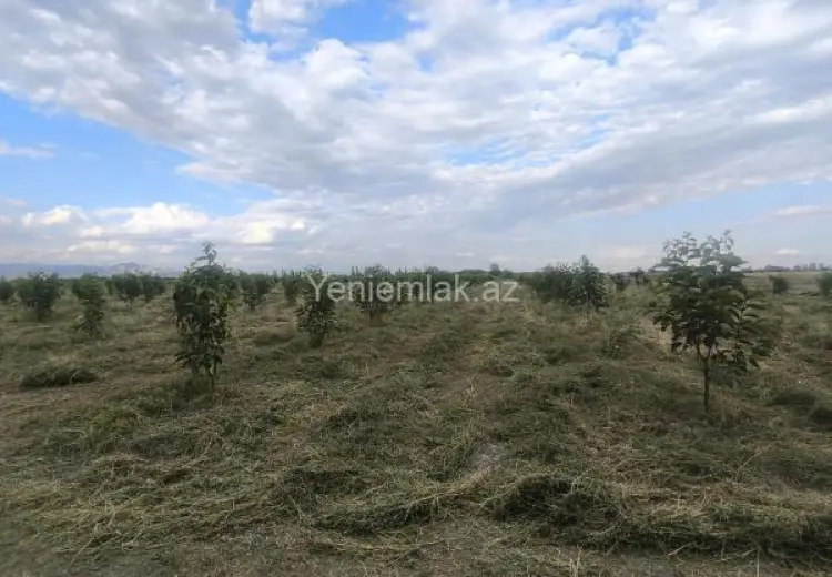 2.6 sot Torpaq Satılır, Ağdaş