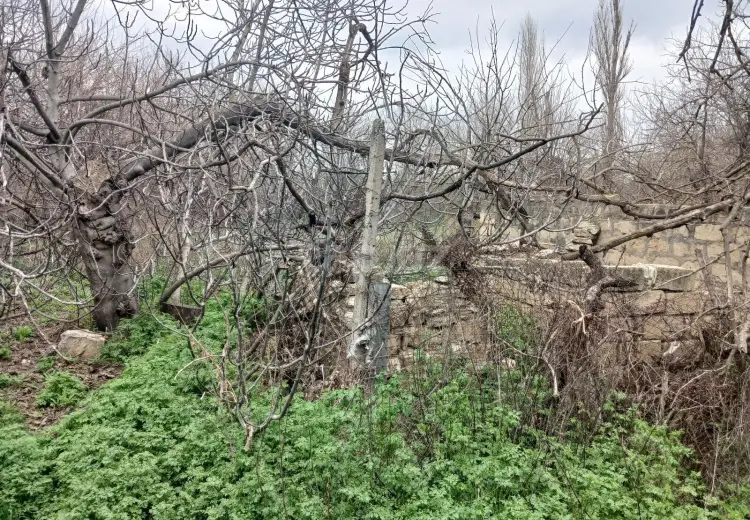 2 otaqlı mənzil , Gəncə