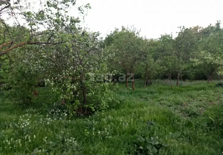 0 m² Obyekt / Ofis , Xızı