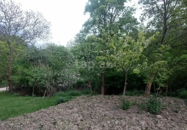 0 m² Obyekt / Ofis , Xızı