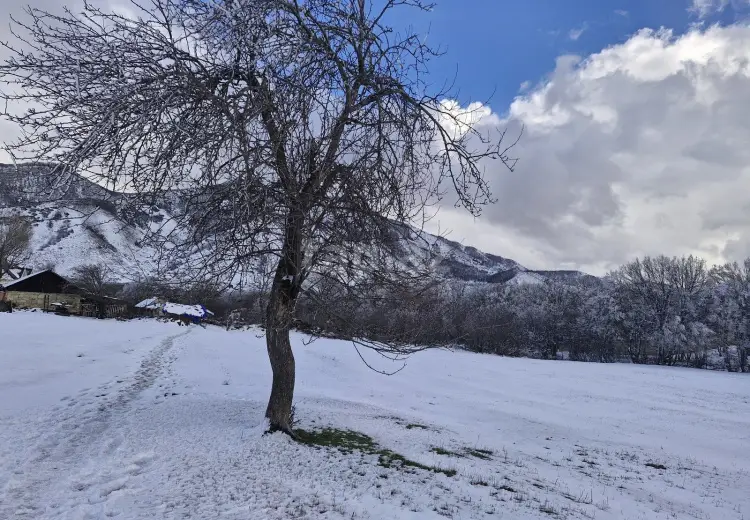 0 m² Obyekt / Ofis , Xızı