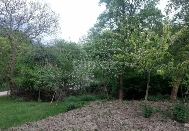 0 m² Obyekt / Ofis , Xızı