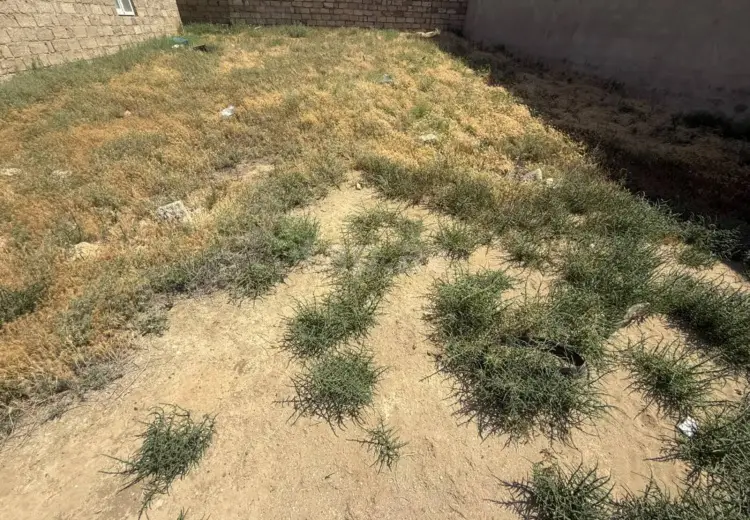 0 m² Obyekt / Ofis , Məştağa qəs., Sabunçu, Bakı
