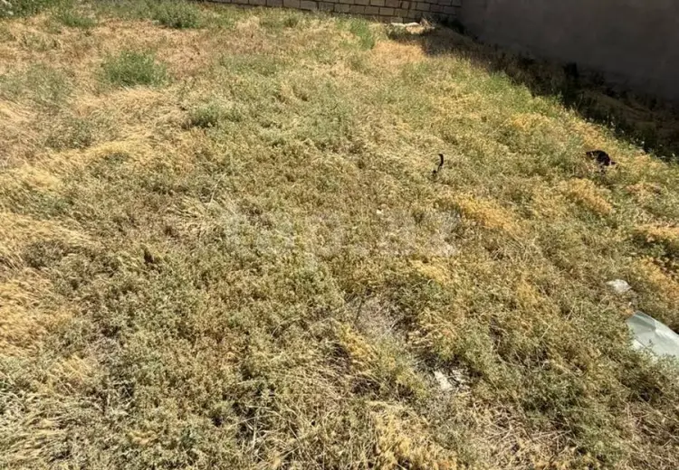 0 m² Obyekt / Ofis , Məştağa qəs., Sabunçu, Bakı