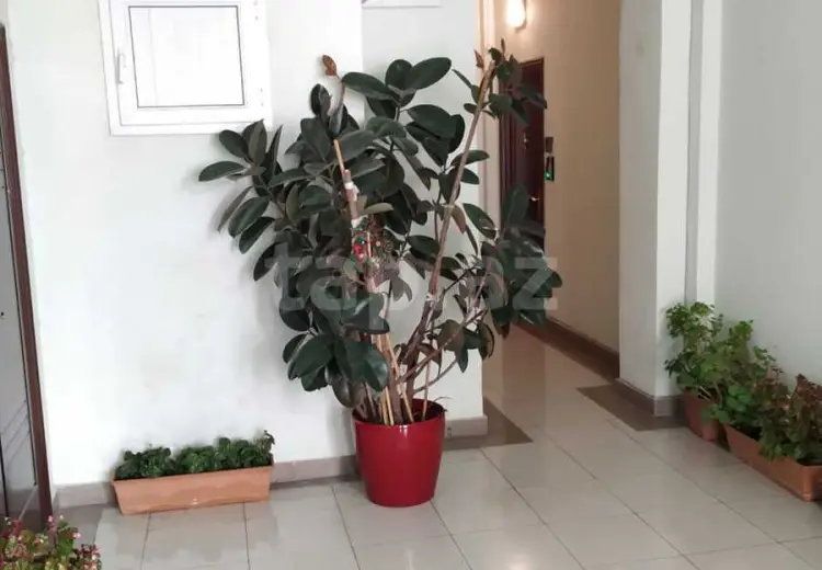 4 otaqlı mənzil , Bakı