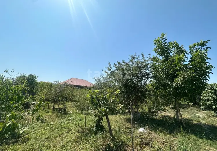 0 m² Obyekt / Ofis , Saray, Abşeron