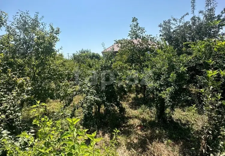 0 m² Obyekt / Ofis , Saray, Abşeron