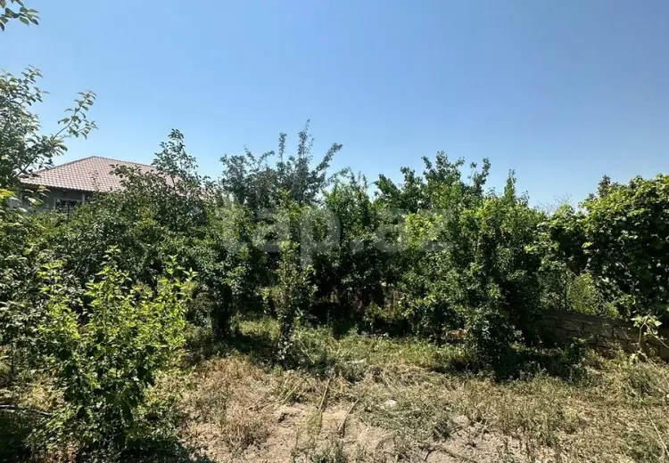 0 m² Obyekt / Ofis , Saray, Abşeron