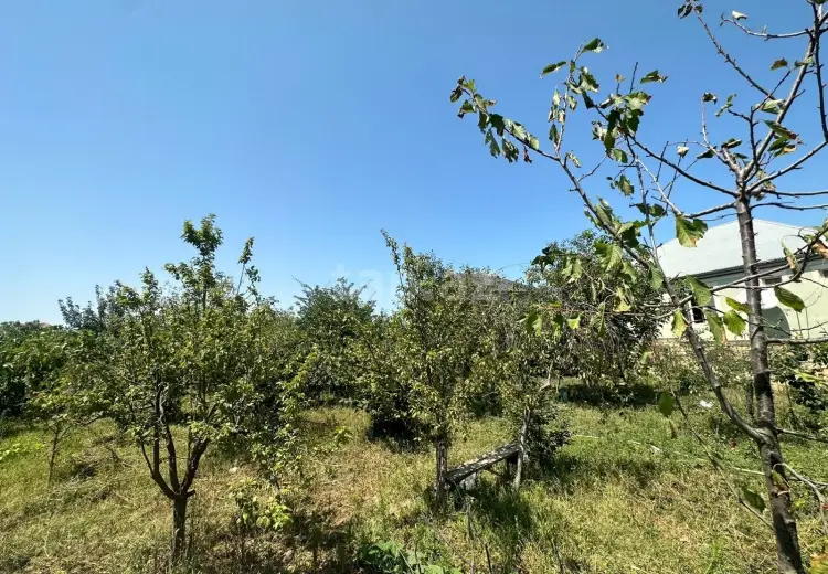 0 m² Obyekt / Ofis , Saray, Abşeron