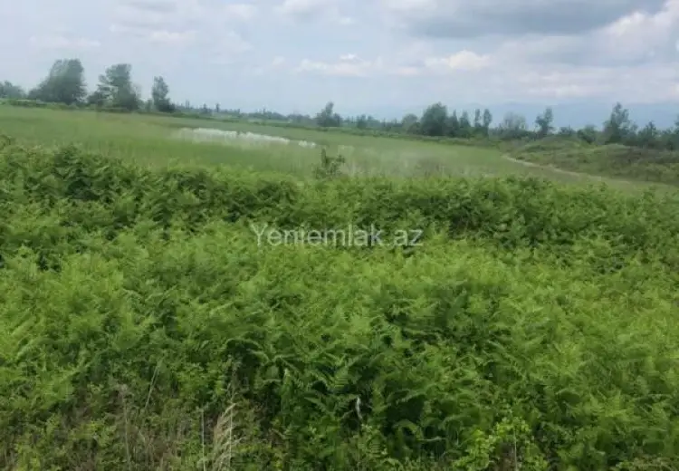 750 sot Torpaq Satılır, İsmayıllı