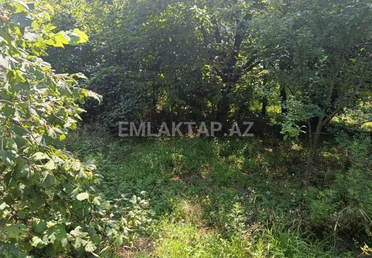 20 sot Torpaq Satılır, Qəbələ