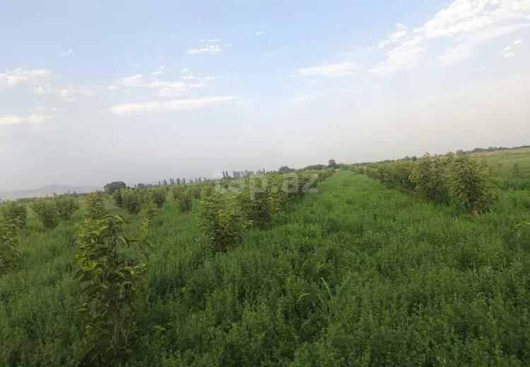 0 m² Obyekt / Ofis , Ağdaş