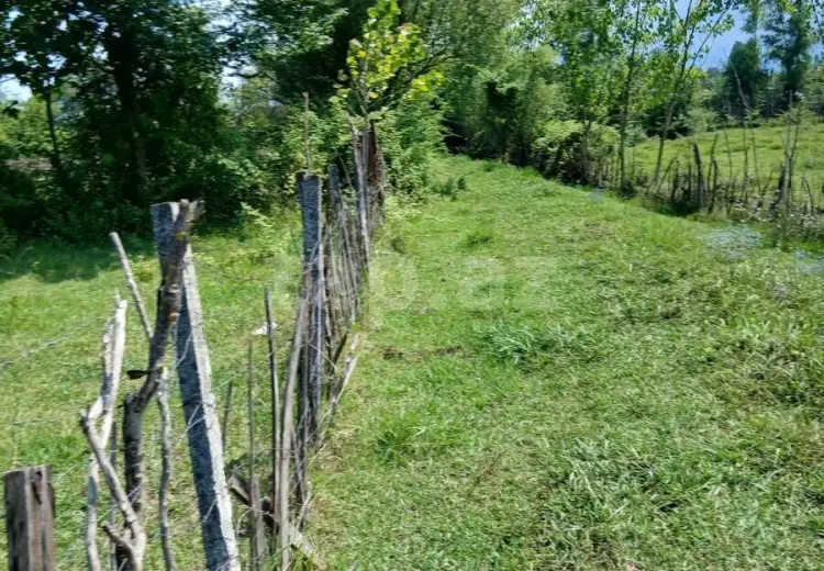 0 m² Obyekt / Ofis , Astara