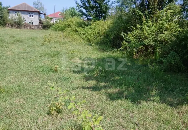 0 m² Obyekt / Ofis , Astara