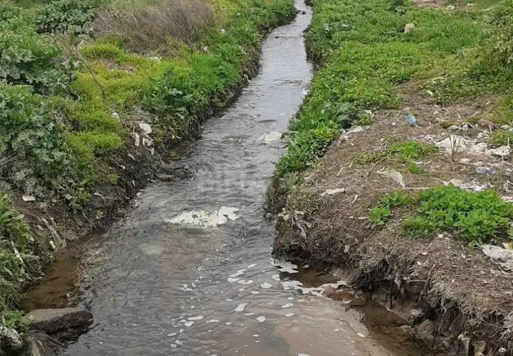 20 sot Torpaq Satılır, Pirallahı, Bakı