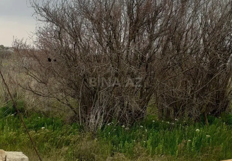 20 sot Torpaq Satılır, Pirallahı, Bakı