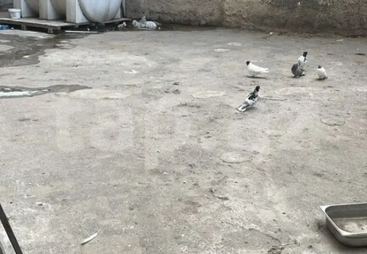 0 m² Obyekt / Ofis , Bayıl qəs., Səbail, Bakı