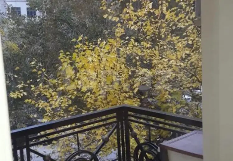 3 otaqlı mənzil , Bakı