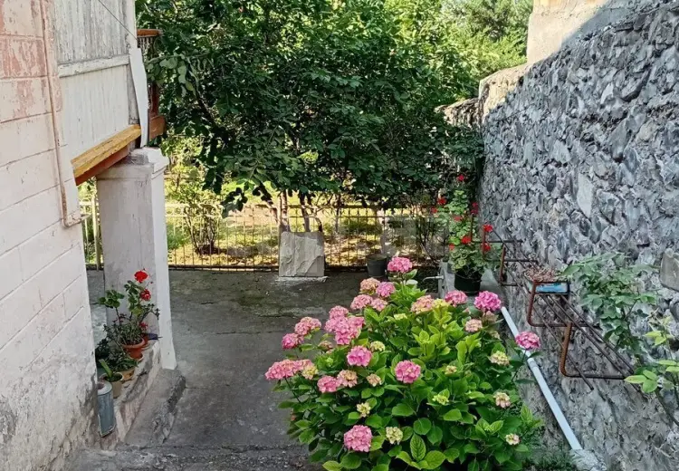 5 otaqlı mənzil , Şəki