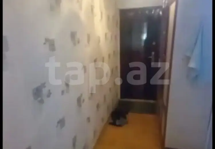 1 otaqlı mənzil Kirayə (aylıq), Mingəçevir