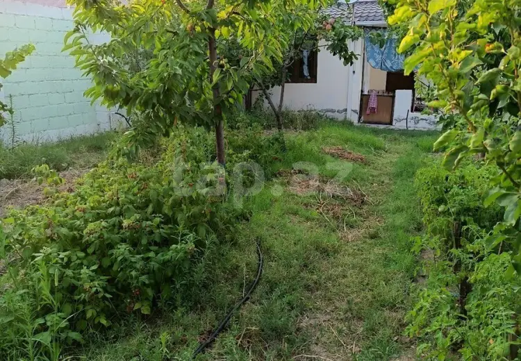 3 otaqlı mənzil , Gəncə
