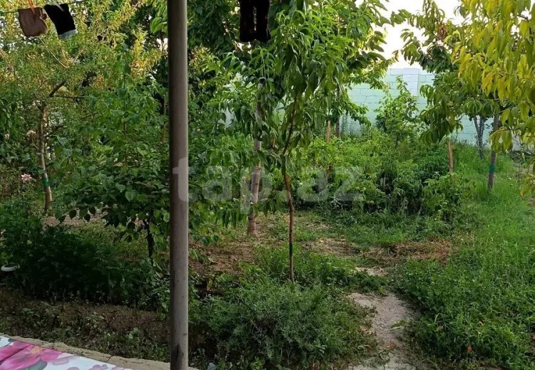 3 otaqlı mənzil , Gəncə