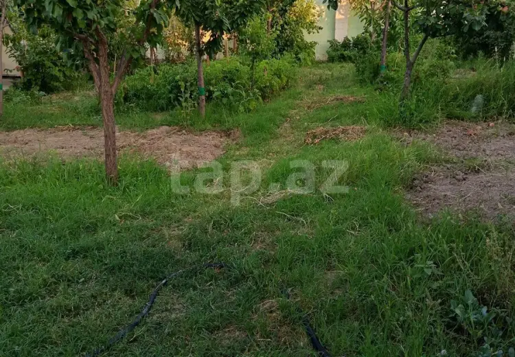 3 otaqlı mənzil , Gəncə