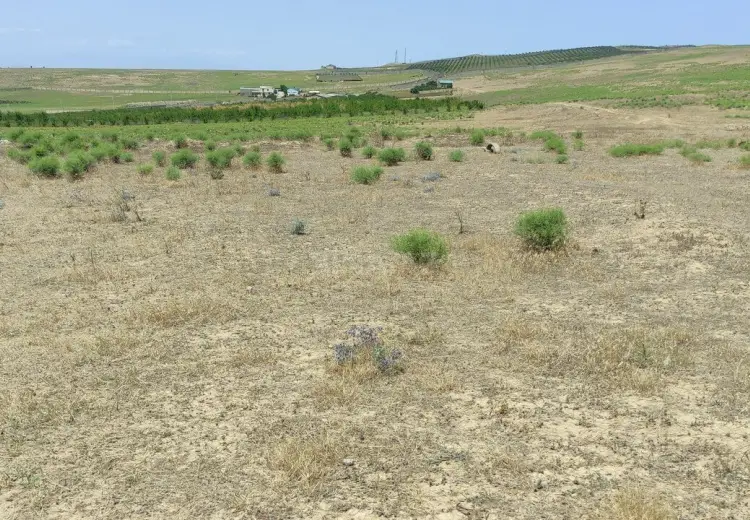 82 sot Torpaq Satılır, Mehdiabad, Abşeron