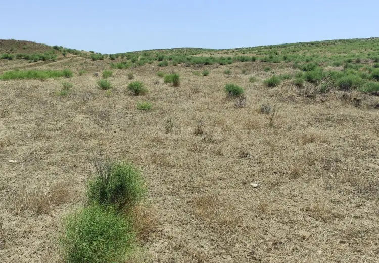82 sot Torpaq Satılır, Mehdiabad, Abşeron
