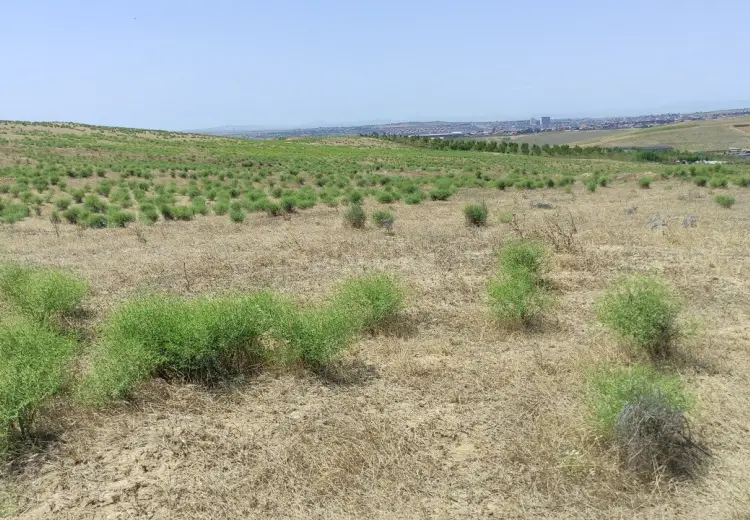 82 sot Torpaq Satılır, Mehdiabad, Abşeron