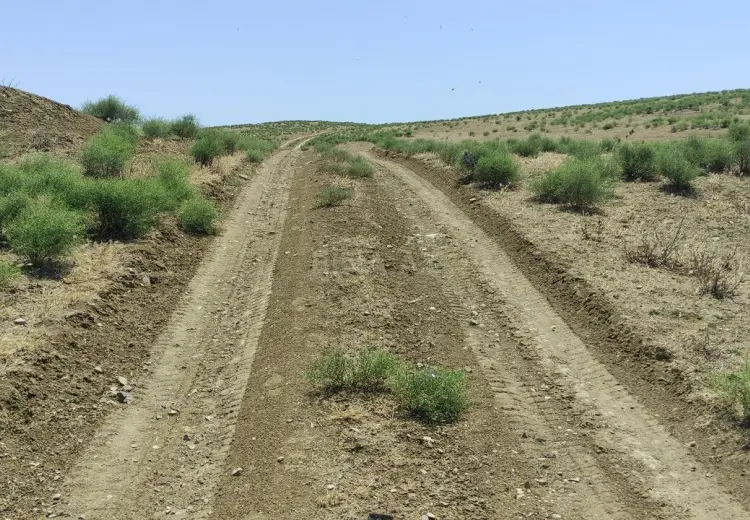82 sot Torpaq Satılır, Mehdiabad, Abşeron