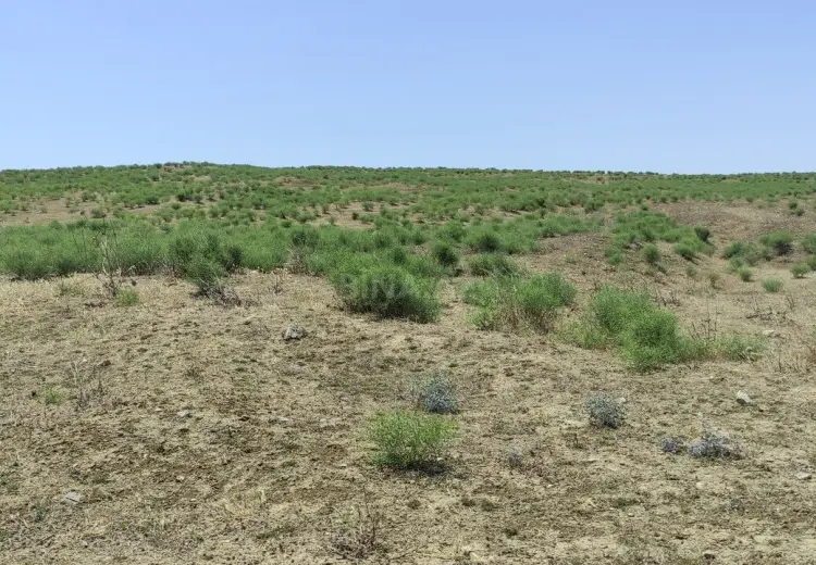 82 sot Torpaq Satılır, Mehdiabad, Abşeron