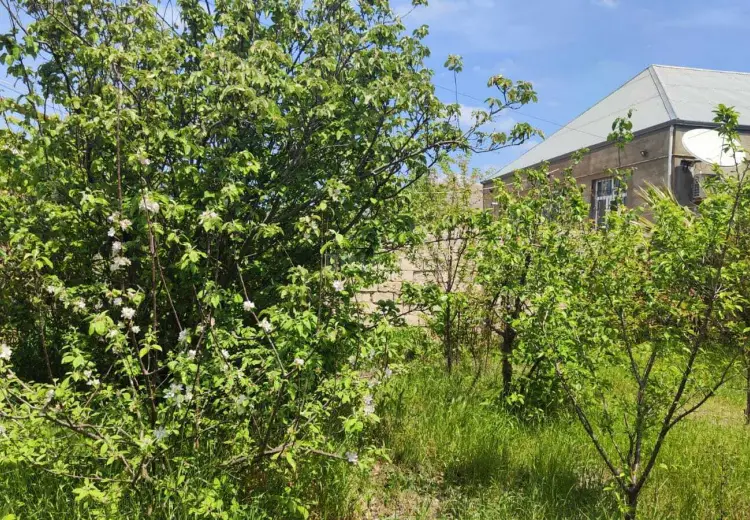 10 sot Torpaq Satılır, Ramana qəs., Sabunçu, Bakı