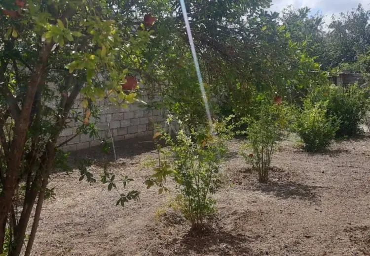 6 sot Torpaq Satılır, Xəzər, Bakı