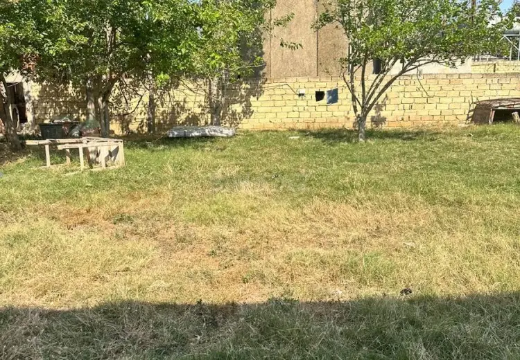 3 sot Torpaq Satılır, Novxanı, Abşeron