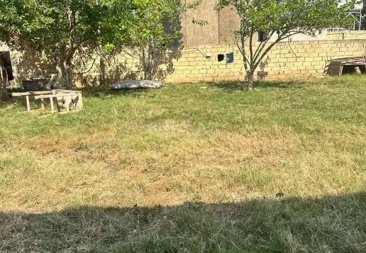 4 sot Torpaq Satılır, Novxanı, Abşeron