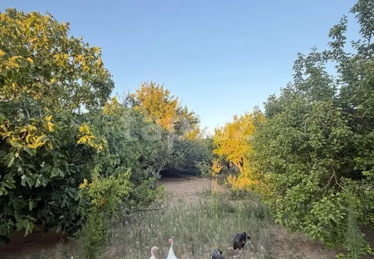 0 m² Obyekt / Ofis , Albalı qəs., Sabunçu, Bakı