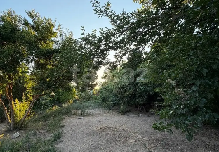 0 m² Obyekt / Ofis , Albalı qəs., Sabunçu, Bakı