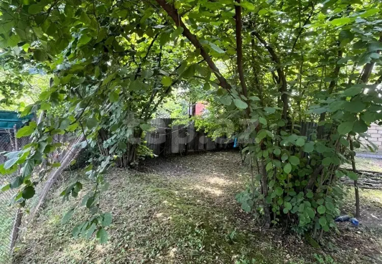 0 m² Obyekt / Ofis , Zaqatala
