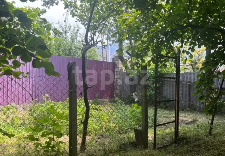 0 m² Obyekt / Ofis , Zaqatala