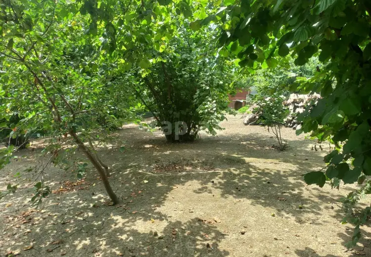 0 m² Obyekt / Ofis , Qəbələ