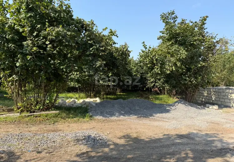 0 m² Obyekt / Ofis , Zaqatala