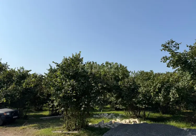 0 m² Obyekt / Ofis , Zaqatala