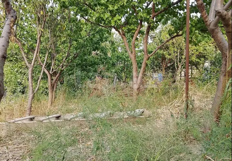 0 m² Obyekt / Ofis , Masazır, Abşeron