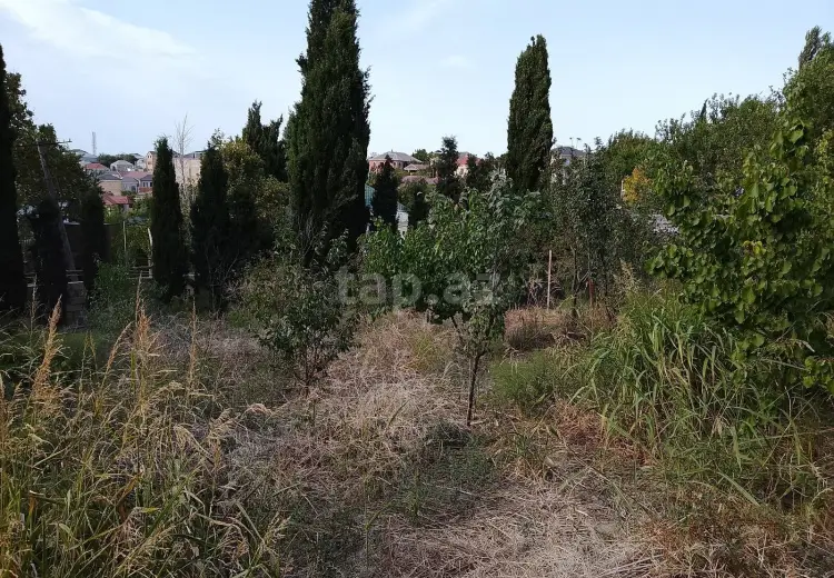 0 m² Obyekt / Ofis , Masazır, Abşeron