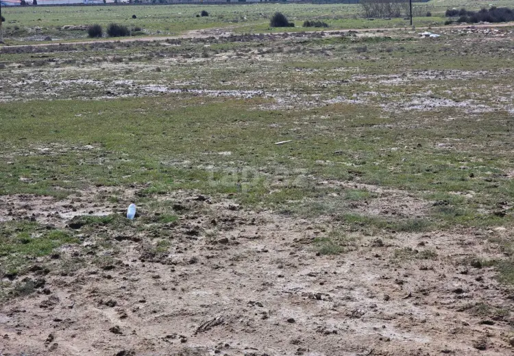 0 m² Obyekt / Ofis , Xəzər, Bakı