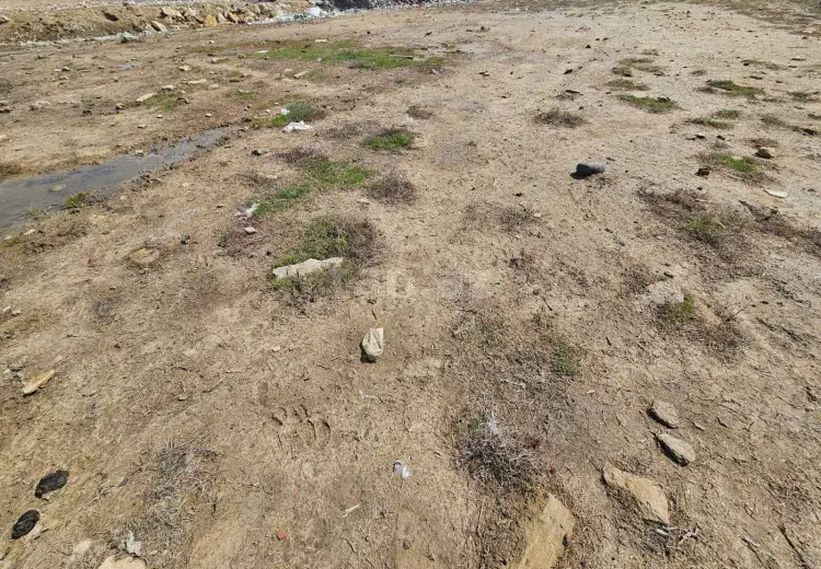 0 m² Obyekt / Ofis , Xəzər, Bakı