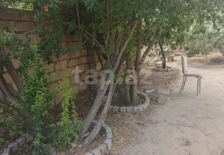 4 otaqlı mənzil , Saray, Abşeron
